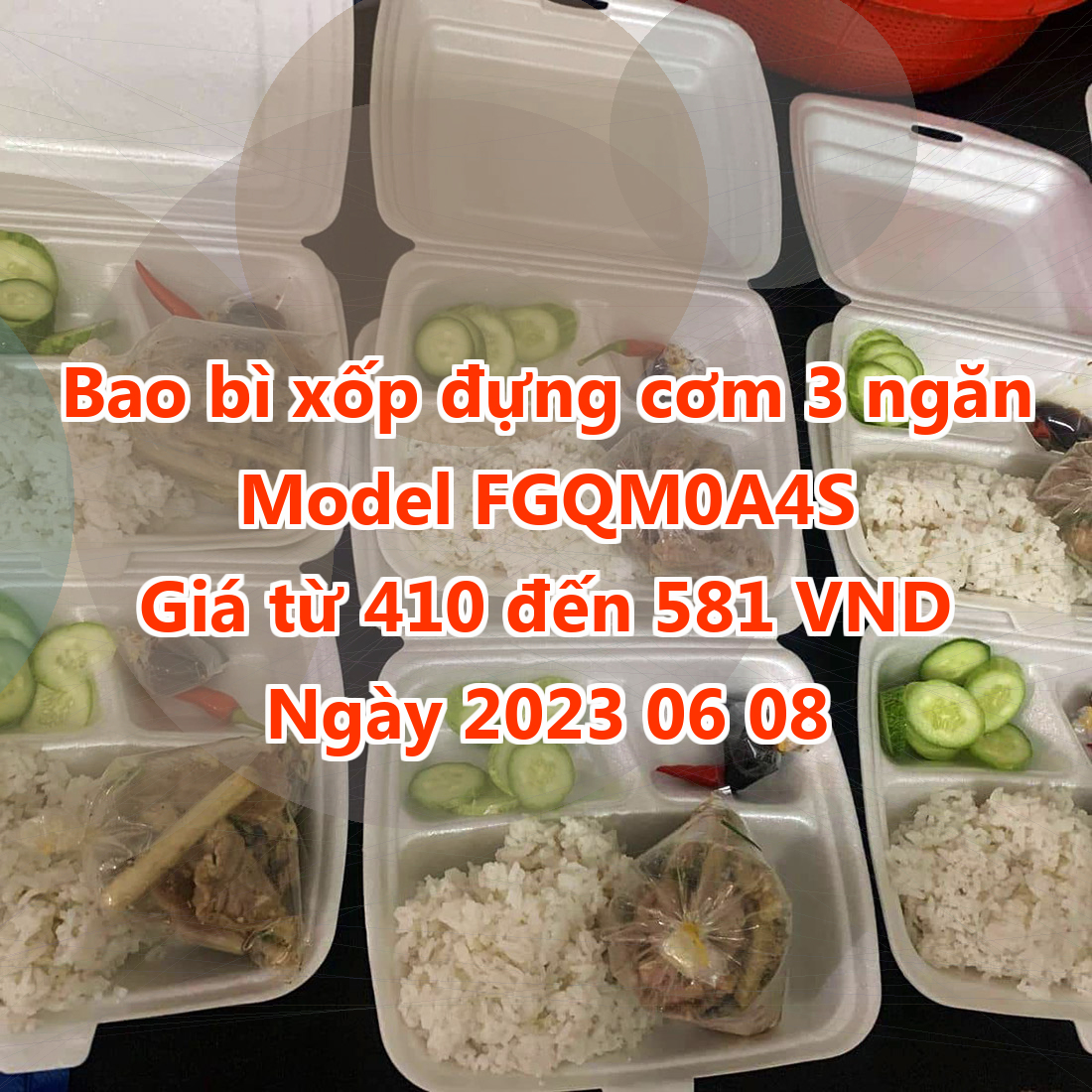 Bao bì xốp đựng cơm 3 ngăn - Model FGQM0A4S