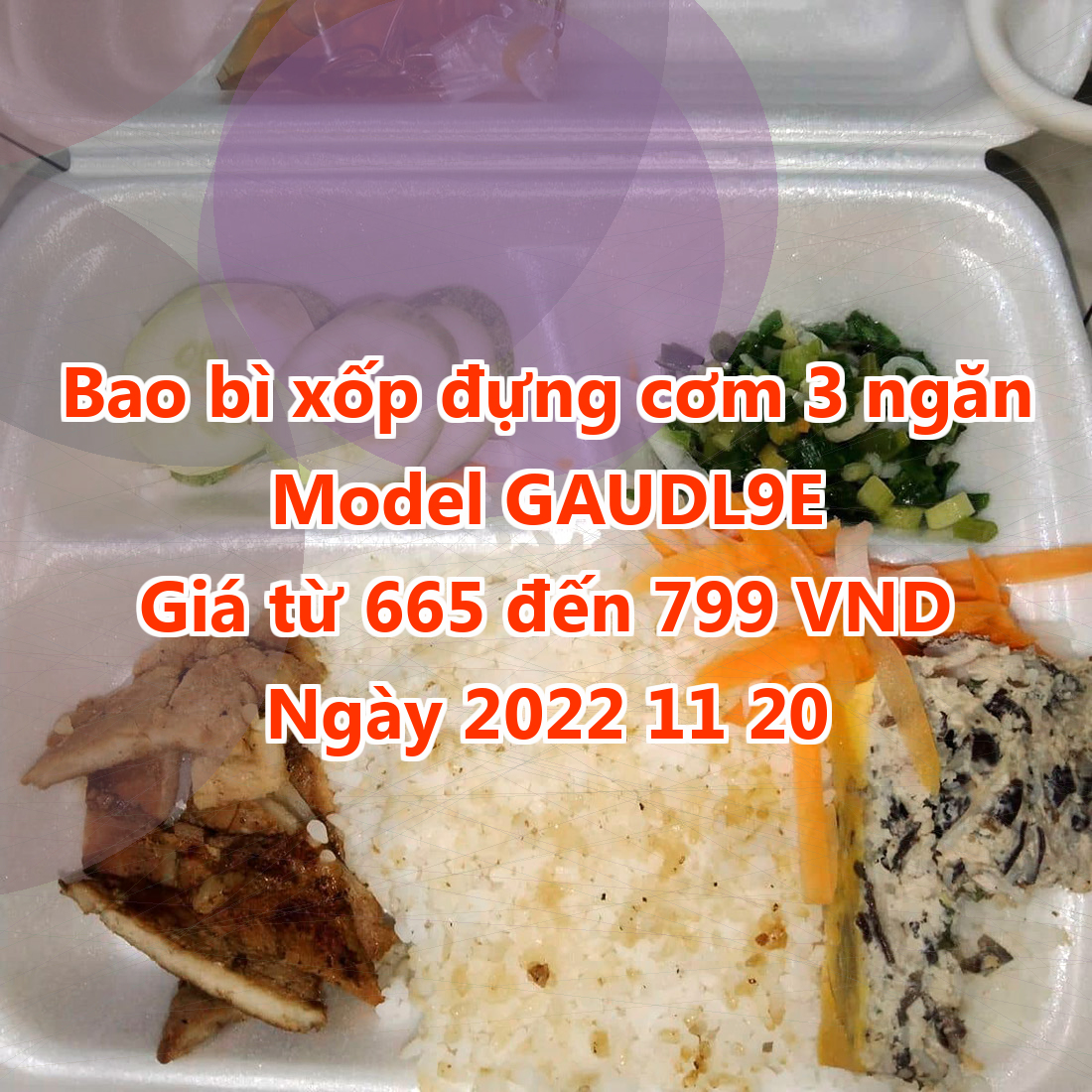 Bao bì xốp đựng cơm 3 ngăn - Model GAUDL9E