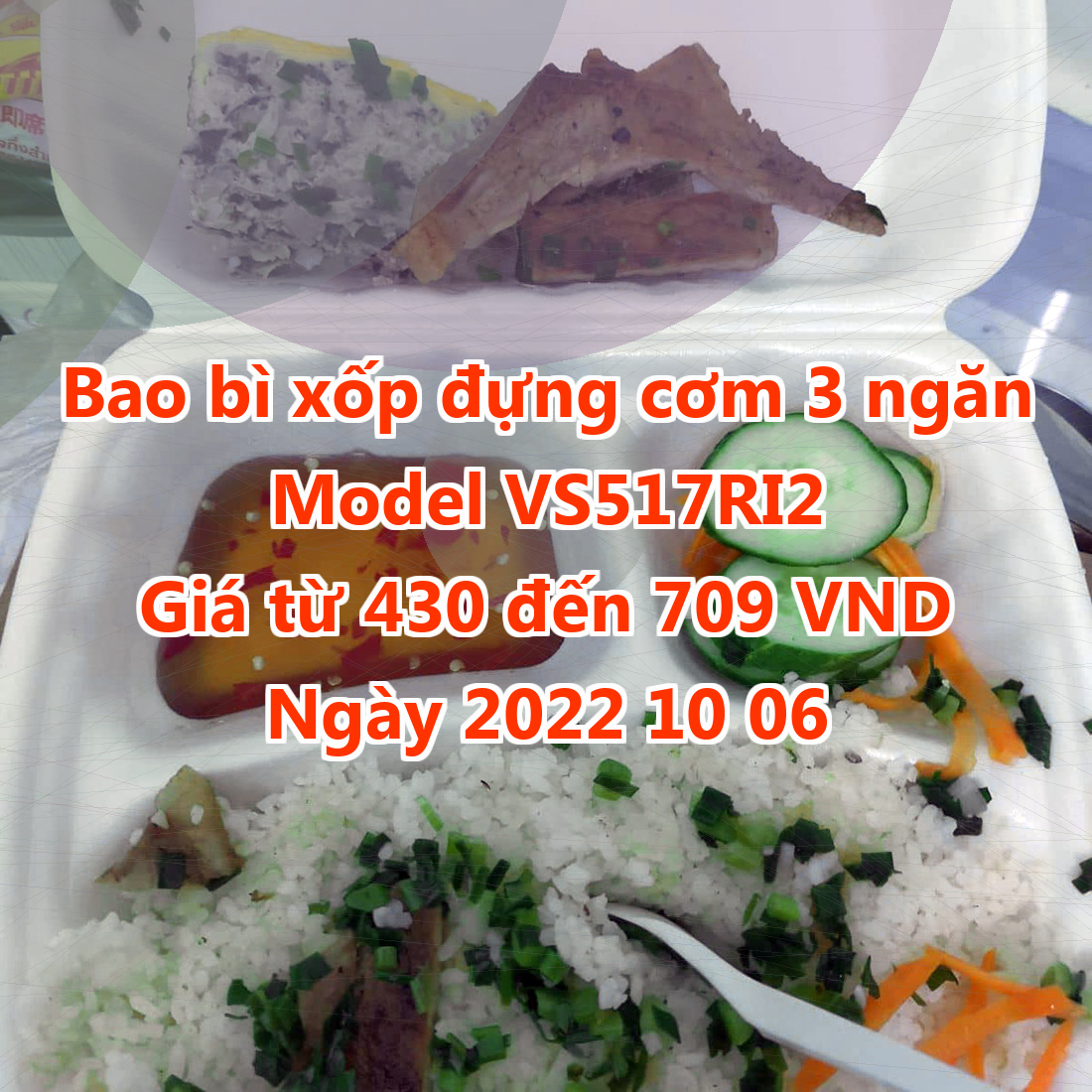 Bao bì xốp đựng cơm 3 ngăn - Model VS517RI2