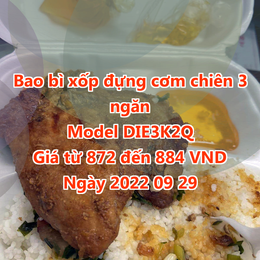 Bao bì xốp đựng cơm chiên 3 ngăn - Model DIE3K2Q