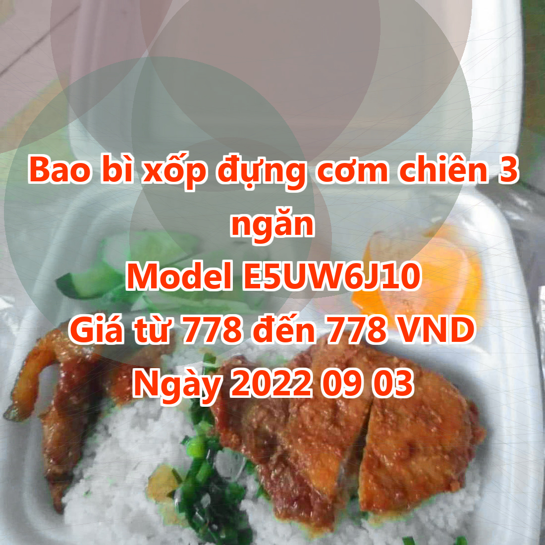 Bao bì xốp đựng cơm chiên 3 ngăn - Model E5UW6J10