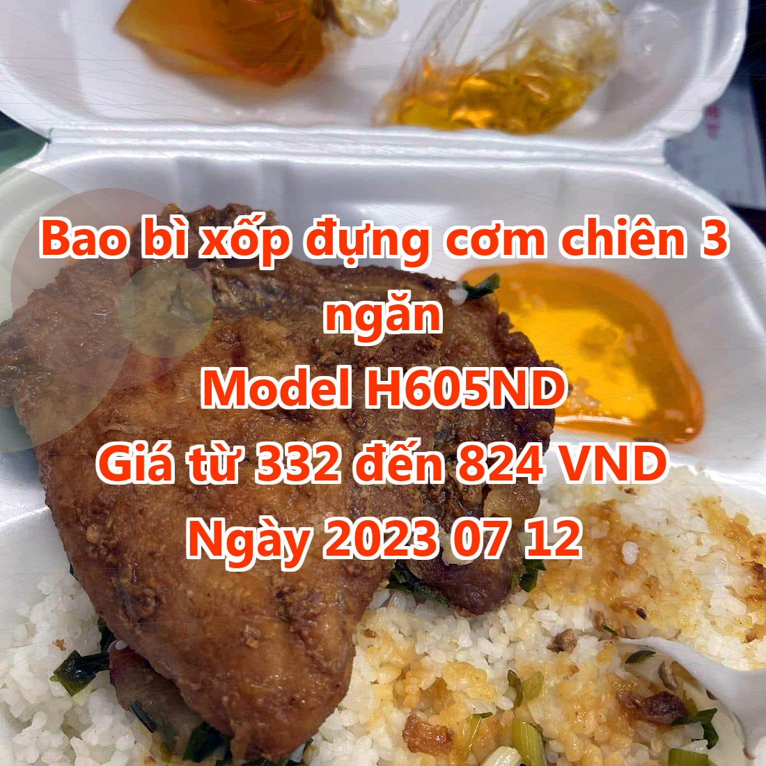 Bao bì xốp đựng cơm chiên 3 ngăn - Model H605ND