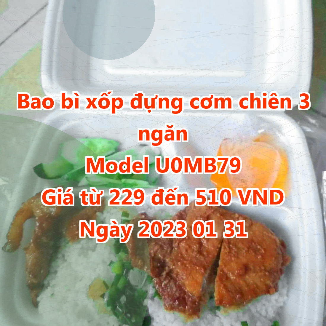 Bao bì xốp đựng cơm chiên 3 ngăn - Model U0MB79 - Màu Dark Slate Blue