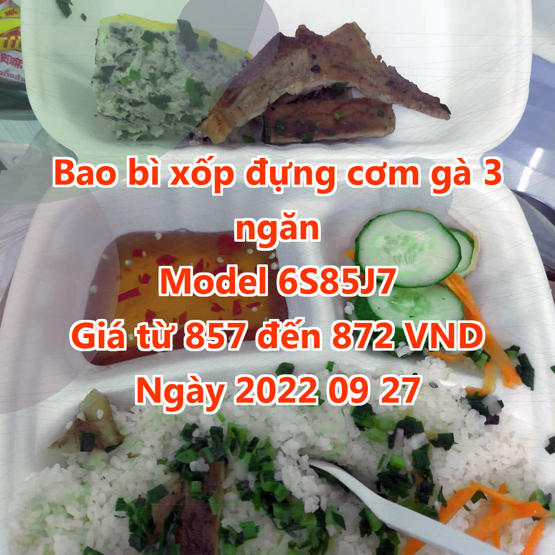 Bao bì xốp đựng cơm gà 3 ngăn - Model 6S85J7