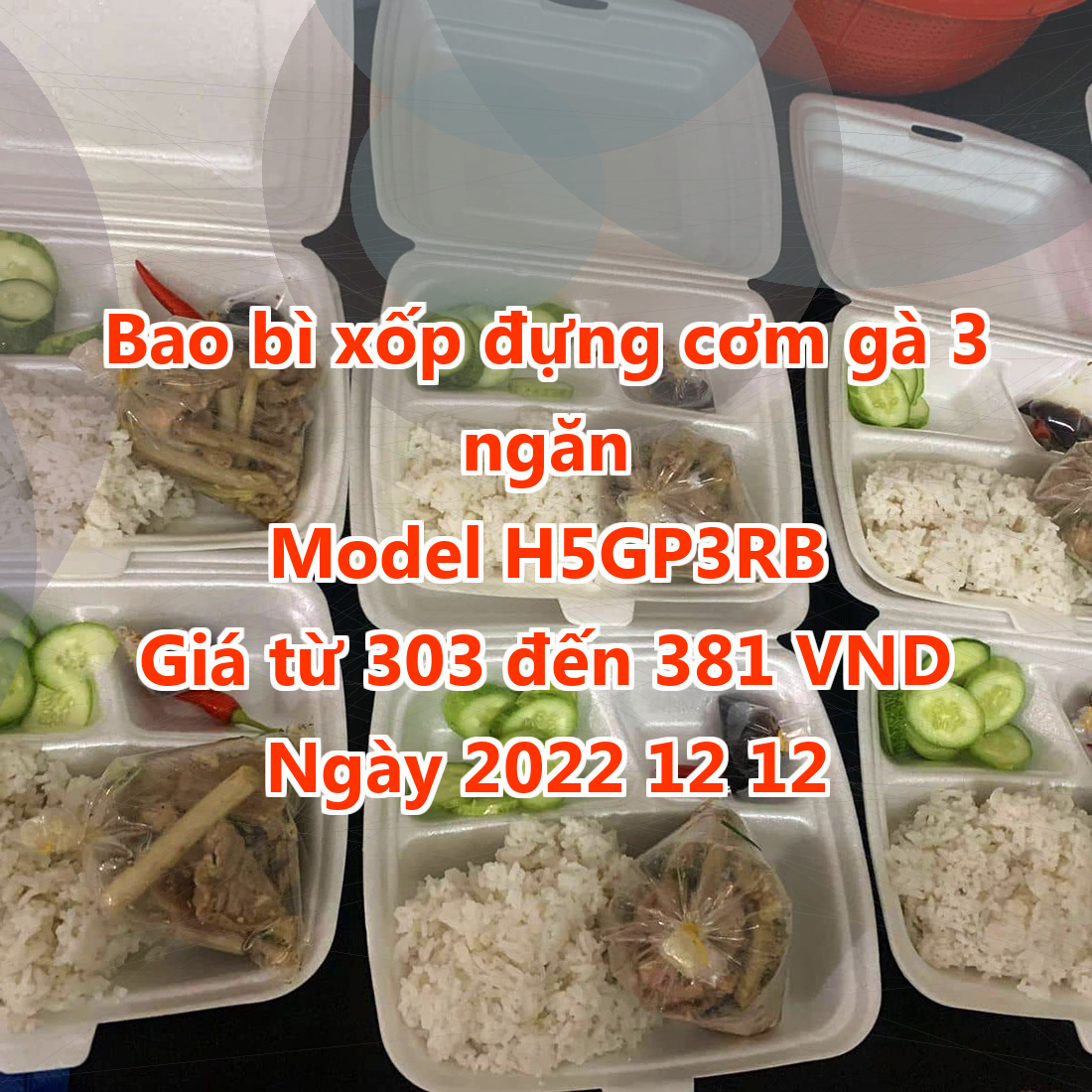 Bao bì xốp đựng cơm gà 3 ngăn - Model H5GP3RB