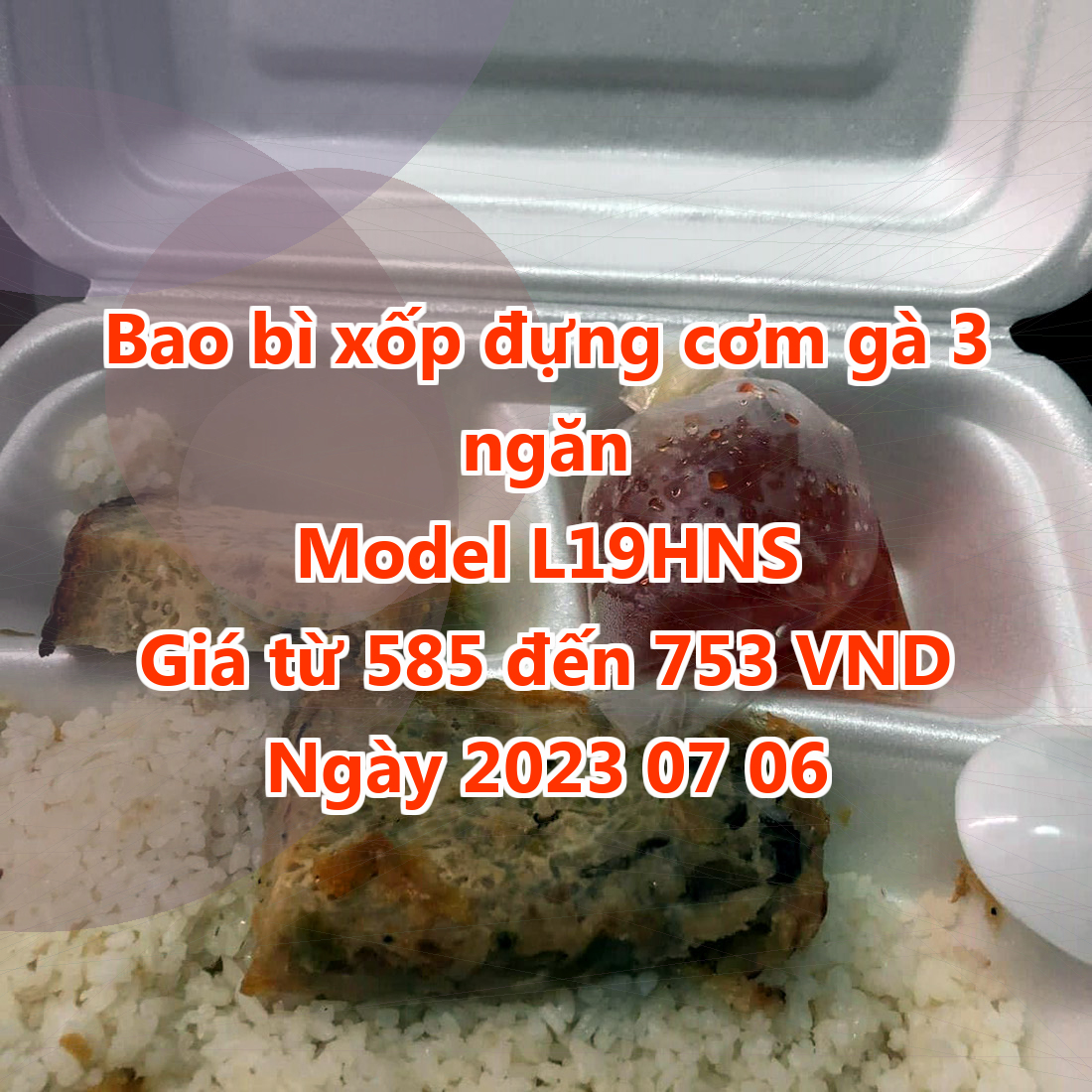 Bao bì xốp đựng cơm gà 3 ngăn - Model L19HNS