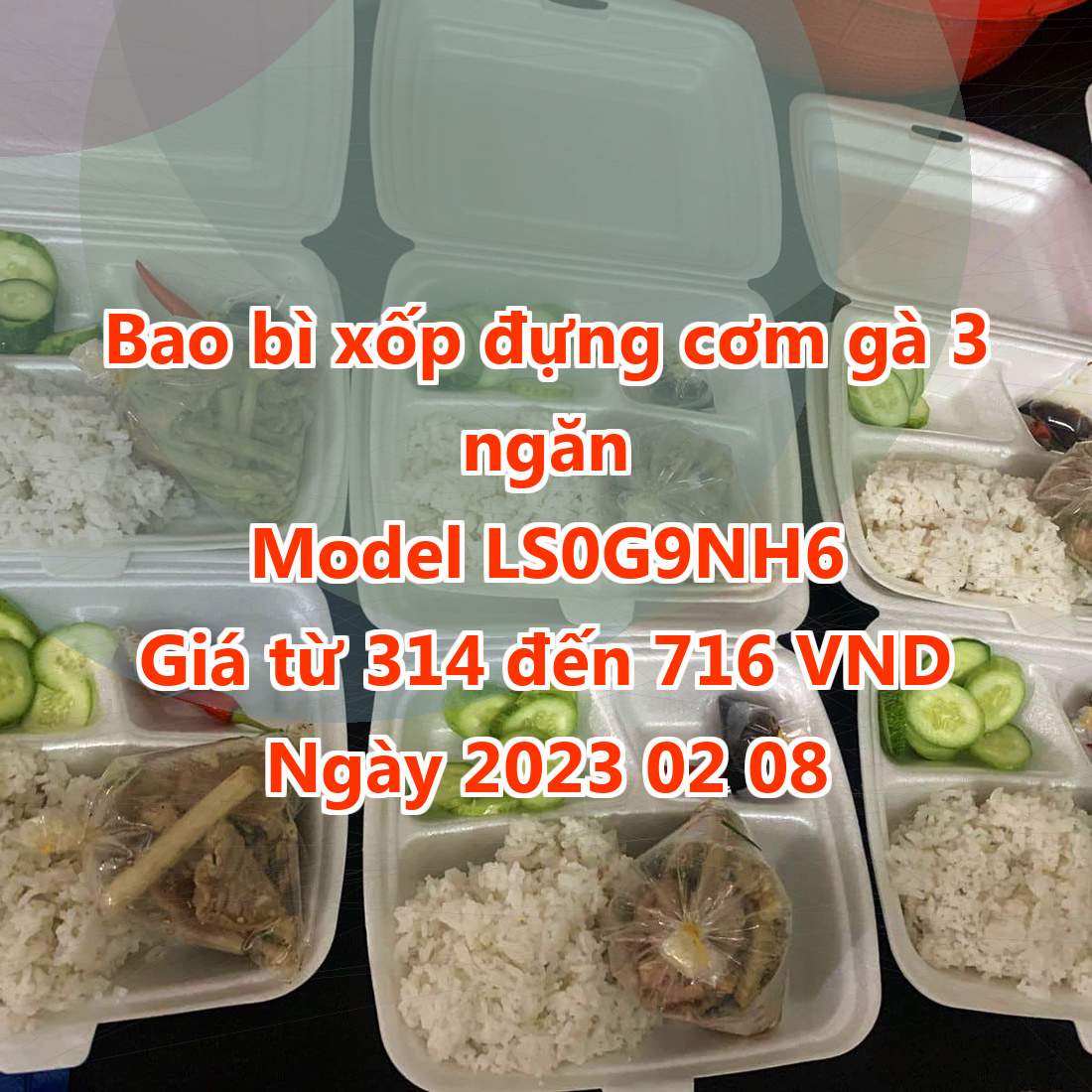 Bao bì xốp đựng cơm gà 3 ngăn - Model LS0G9NH6 - Màu Light Grey