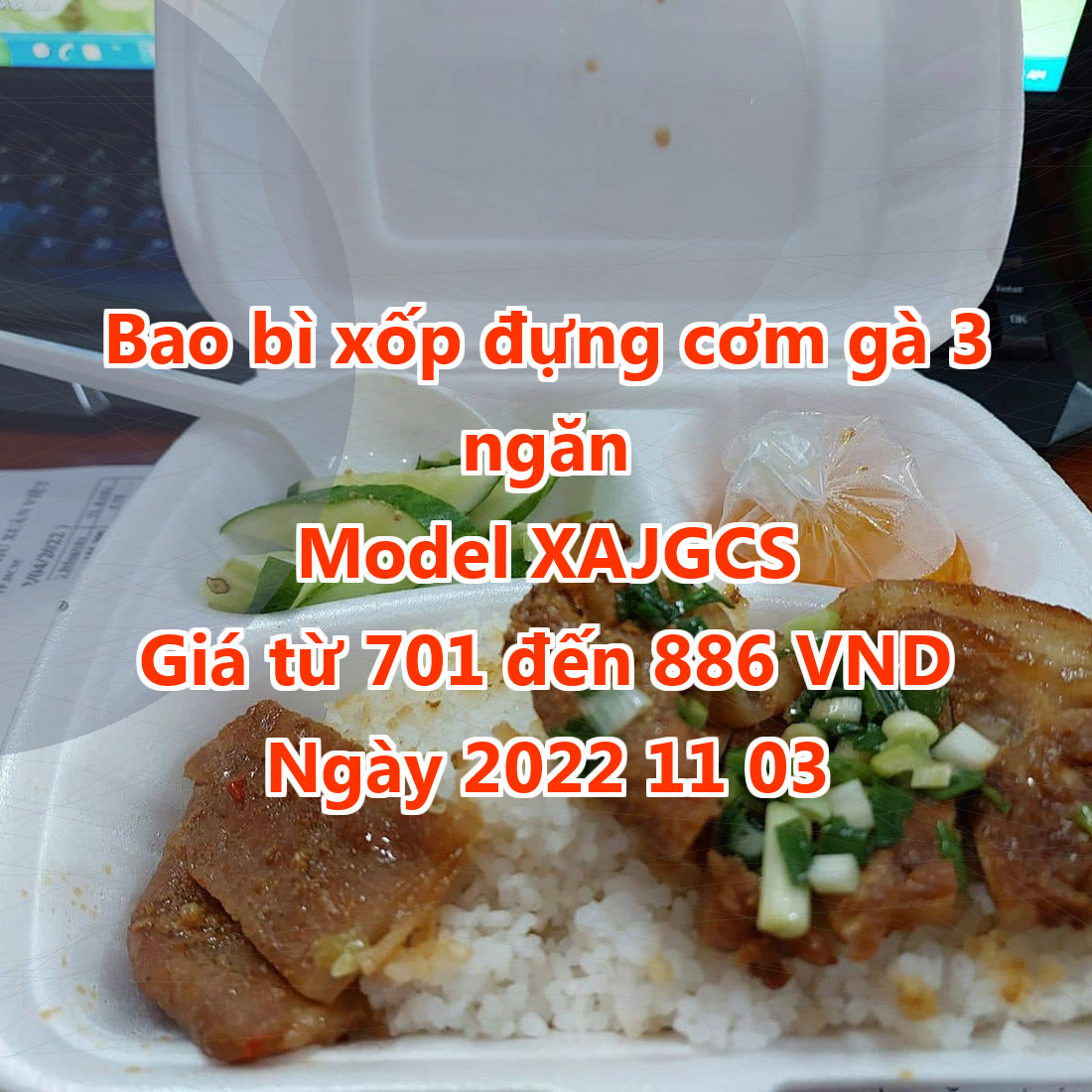 Bao bì xốp đựng cơm gà 3 ngăn - Model XAJGCS - Giá 701 đồng