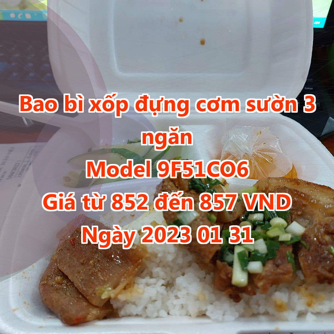 Bao bì xốp đựng cơm sườn 3 ngăn - Model 9F51CO6