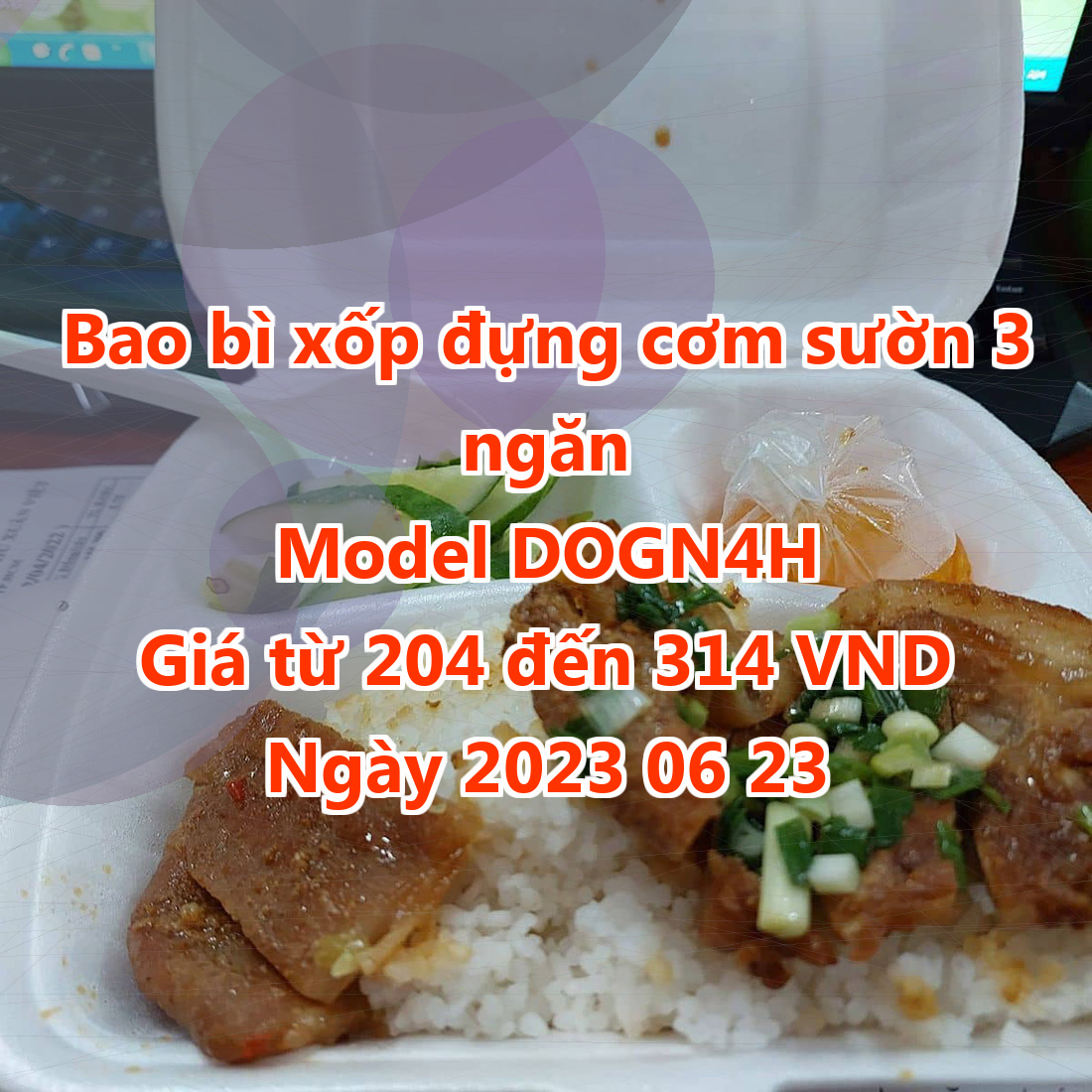 Bao bì xốp đựng cơm sườn 3 ngăn - Model DOGN4H