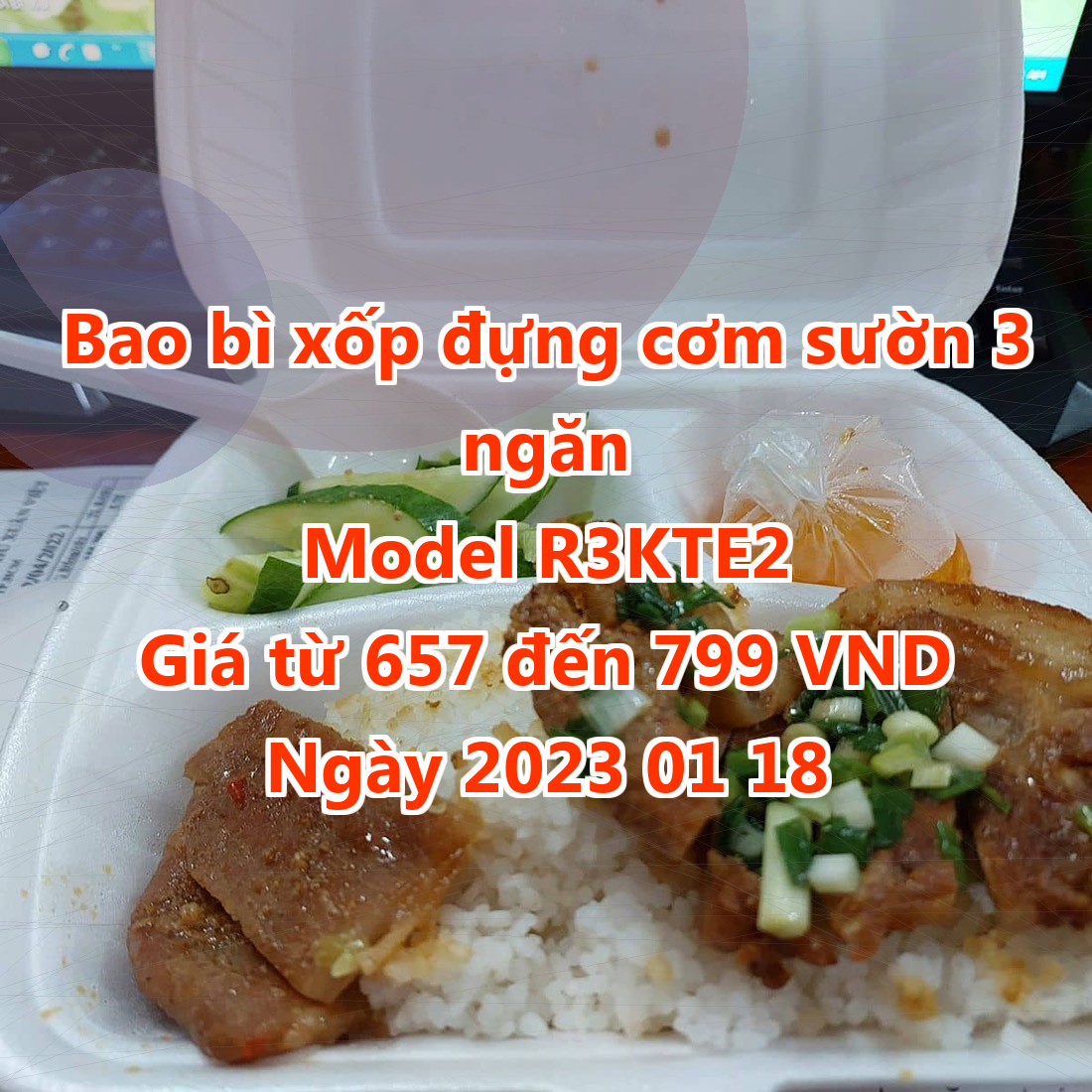 Bao bì xốp đựng cơm sườn 3 ngăn - Model R3KTE2 - Giá 657 đồng