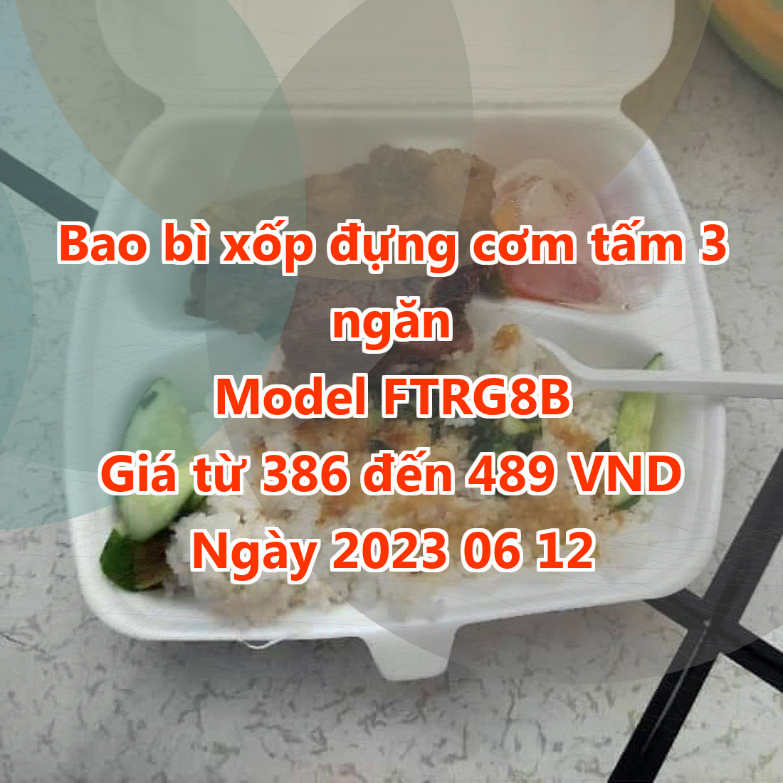 Bao bì xốp đựng cơm tấm 3 ngăn - Model FTRG8B - Màu Pale Green