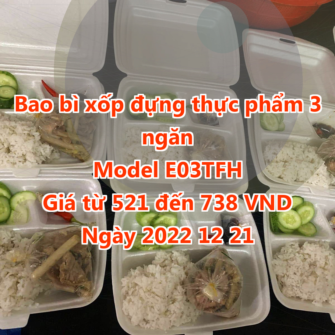 Bao bì xốp đựng thực phẩm 3 ngăn - Model E03TFH