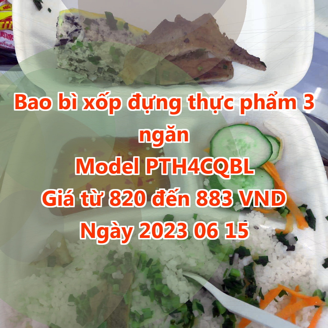 Bao bì xốp đựng thực phẩm 3 ngăn - Model PTH4CQBL