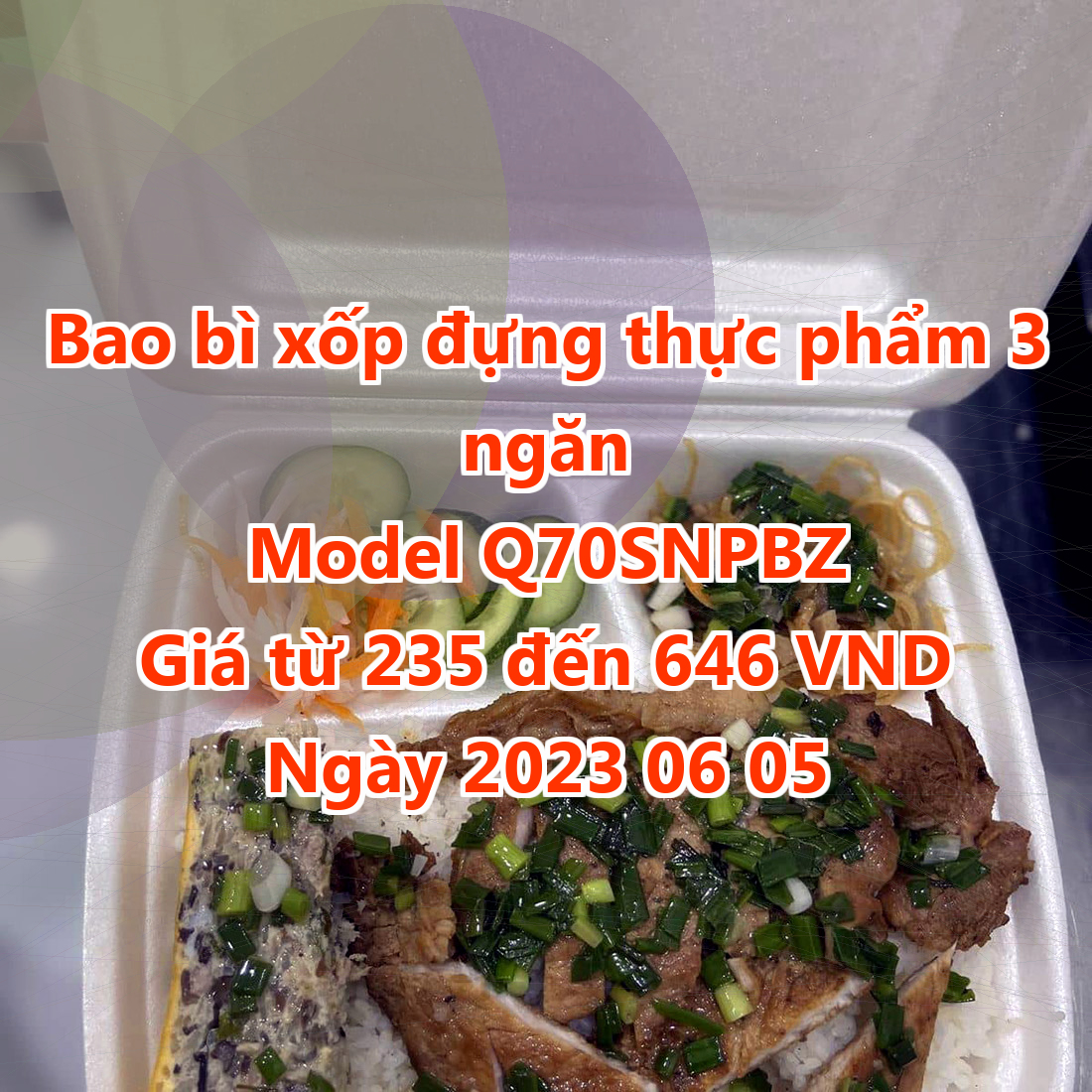 Bao bì xốp đựng thực phẩm 3 ngăn - Model Q70SNPBZ