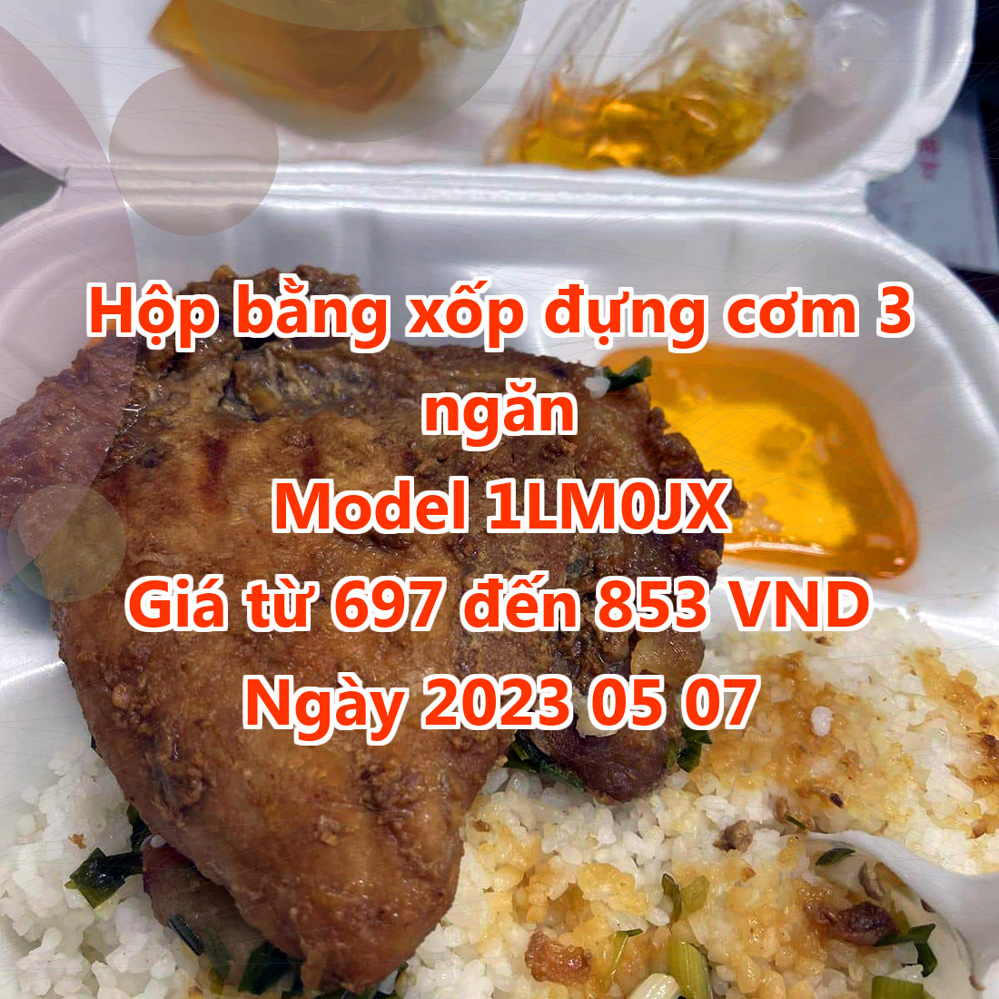 Hộp bằng xốp đựng cơm 3 ngăn - Model 1LM0JX - Giá 697 VND