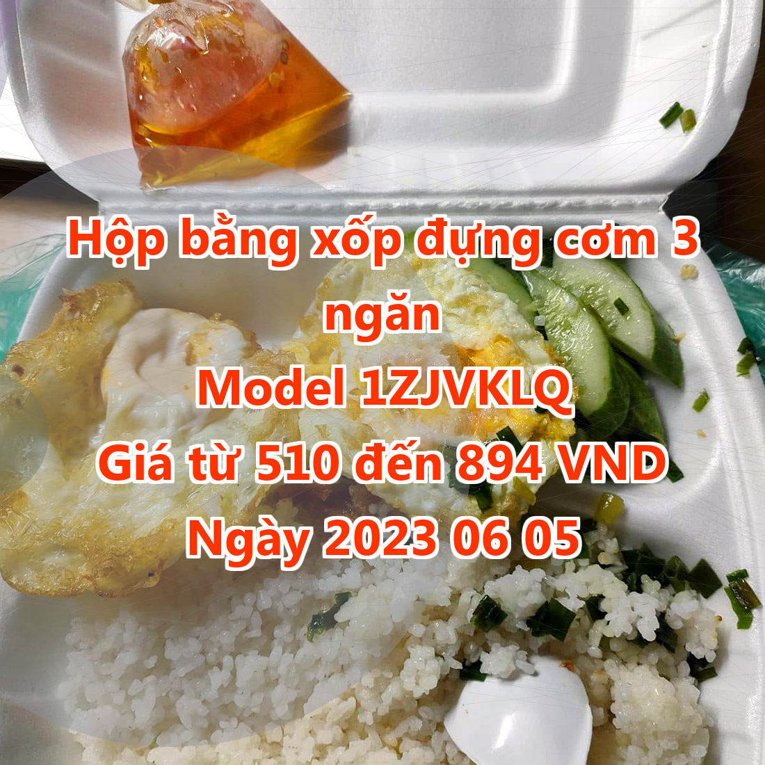 Hộp bằng xốp đựng cơm 3 ngăn - Model 1ZJVKLQ