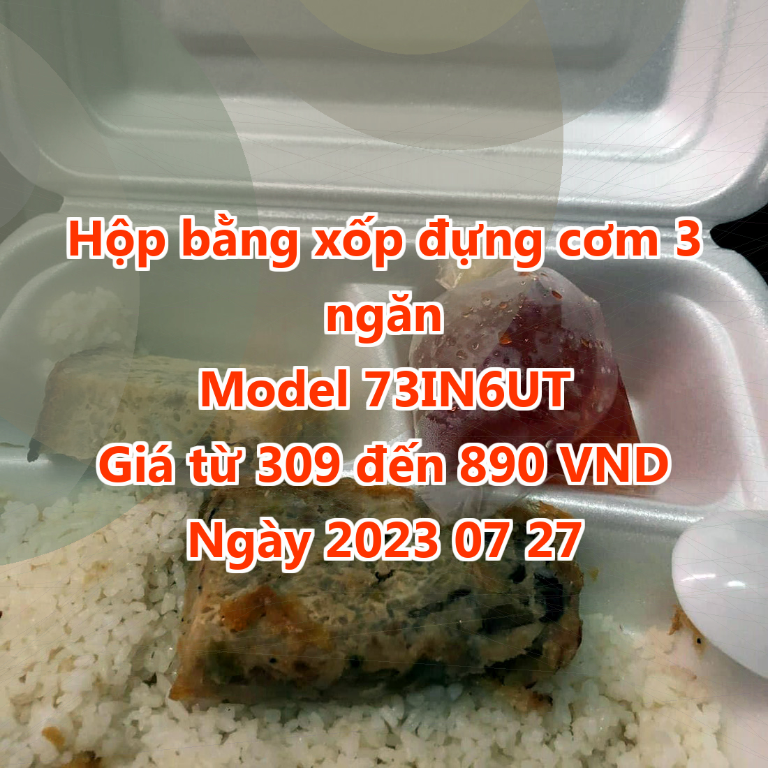 Hộp bằng xốp đựng cơm 3 ngăn - Model 73IN6UT - Giá 309 đồng