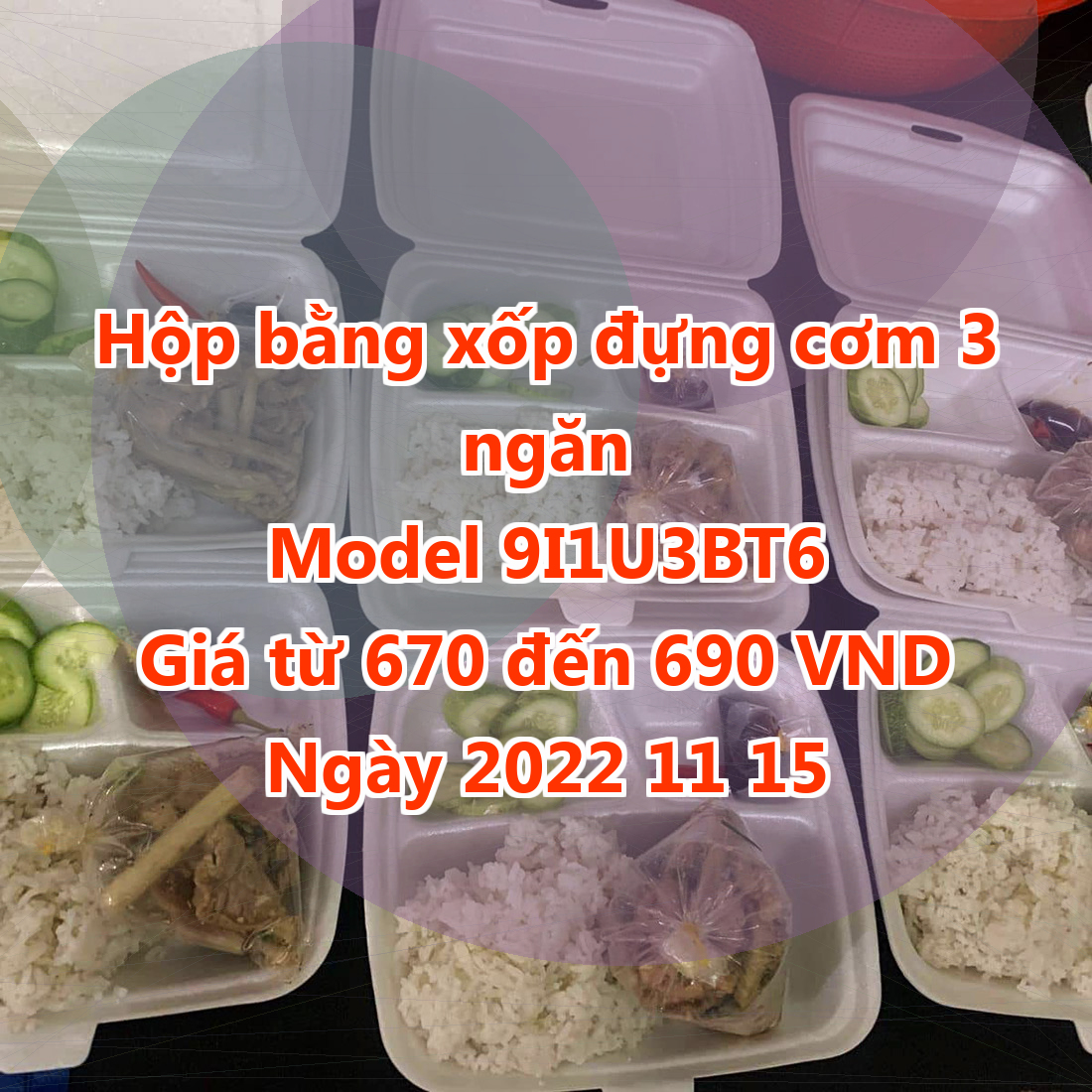 Hộp bằng xốp đựng cơm 3 ngăn - Model 9I1U3BT6 - Giá 670 VND