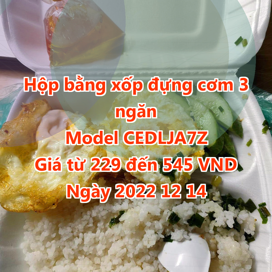 Hộp bằng xốp đựng cơm 3 ngăn - Model CEDLJA7Z