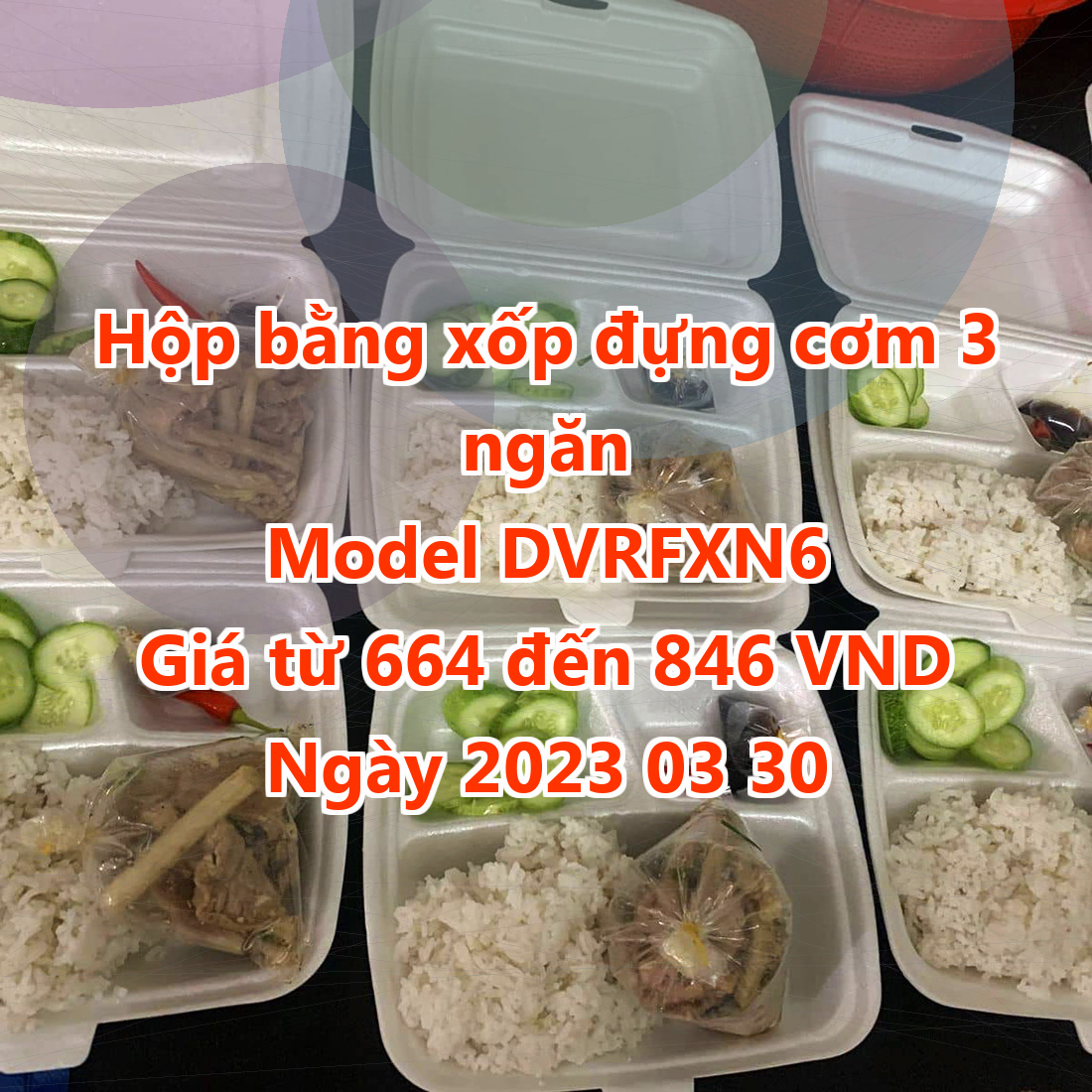 Hộp bằng xốp đựng cơm 3 ngăn - Model DVRFXN6 - Giá 664 VND