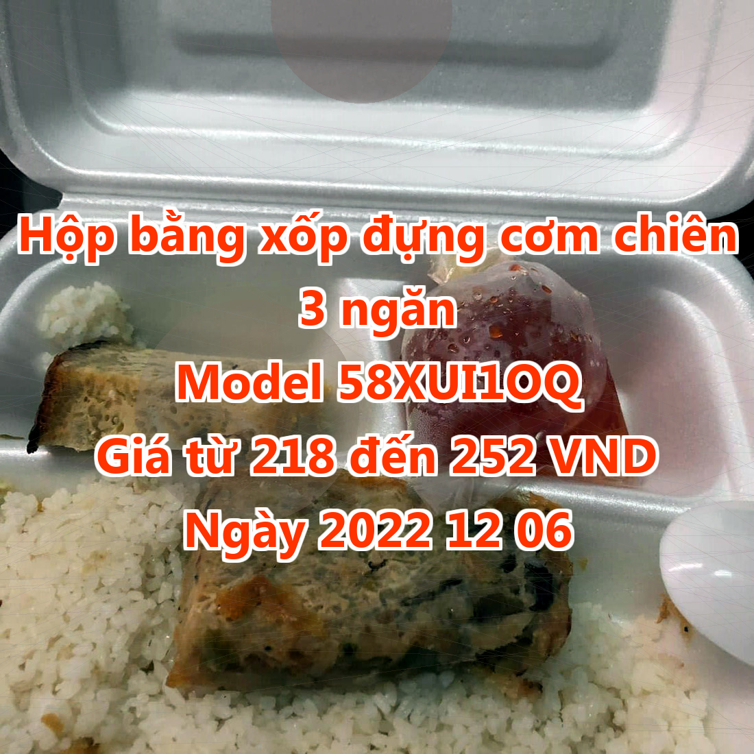 Hộp bằng xốp đựng cơm chiên 3 ngăn - Model 58XUI1OQ