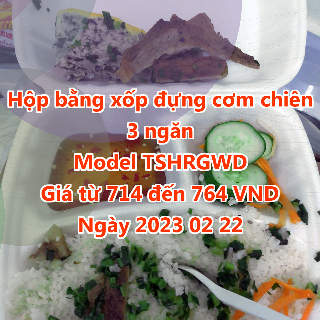 Hộp bằng xốp đựng cơm chiên 3 ngăn - Model TSHRGWD