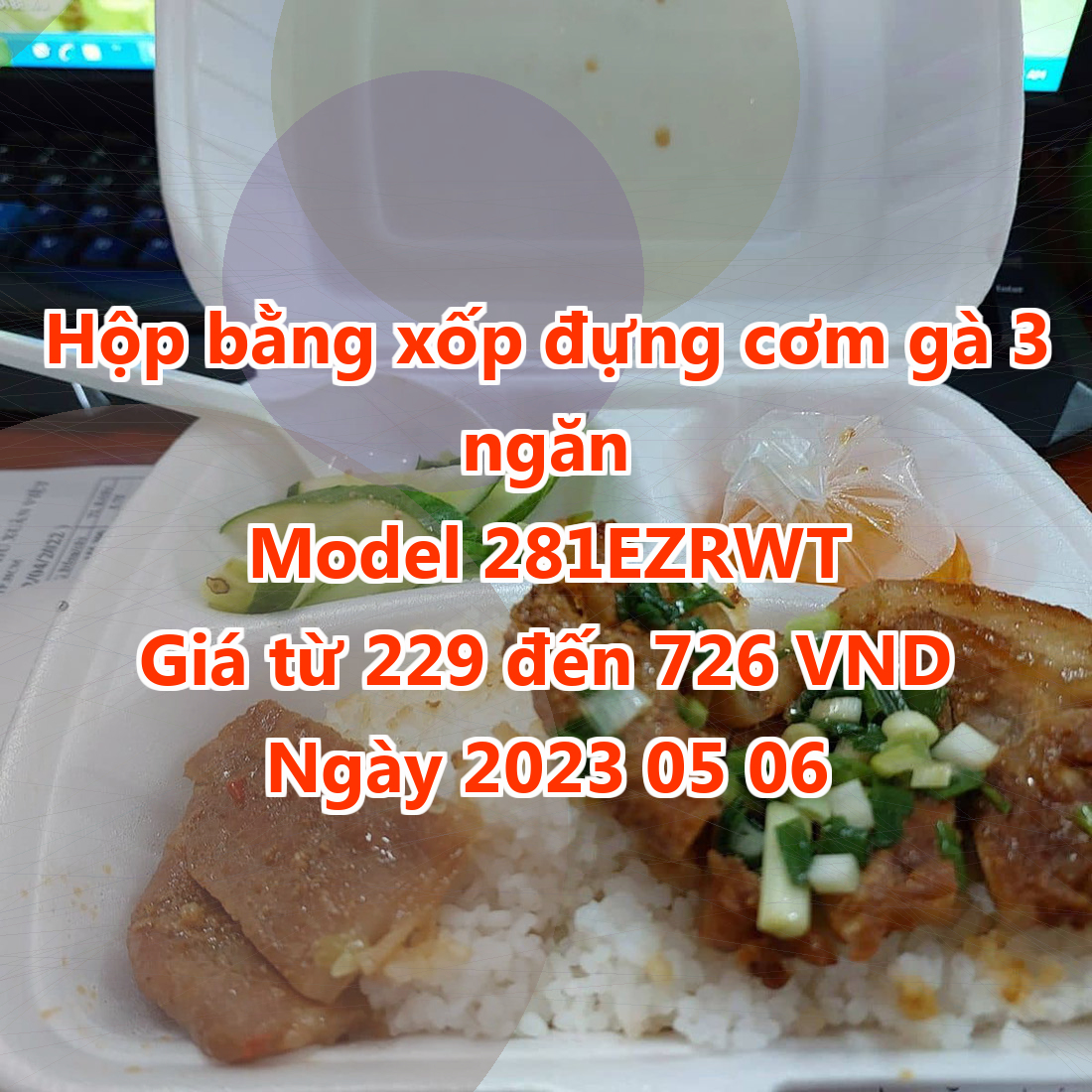 Hộp bằng xốp đựng cơm gà 3 ngăn - Model 281EZRWT