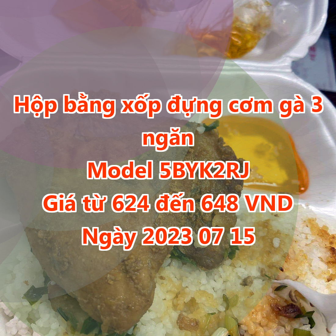 Hộp bằng xốp đựng cơm gà 3 ngăn - Model 5BYK2RJ