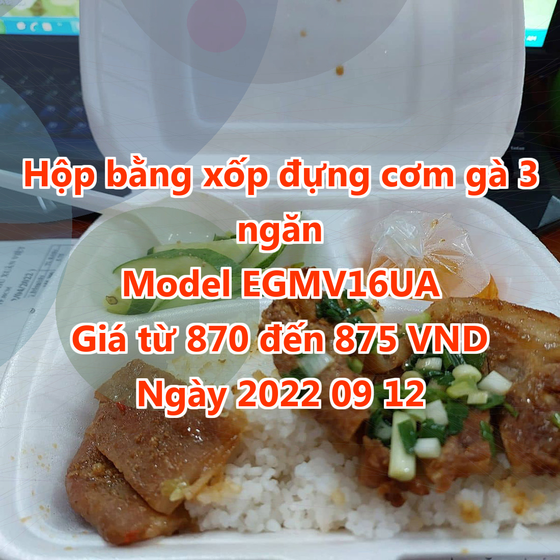 Hộp bằng xốp đựng cơm gà 3 ngăn - Model EGMV16UA