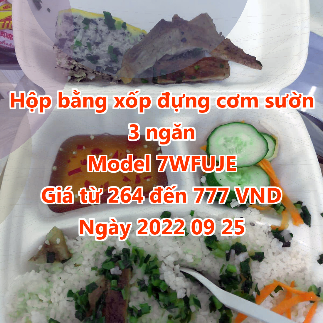 Hộp bằng xốp đựng cơm sườn 3 ngăn - Model 7WFUJE