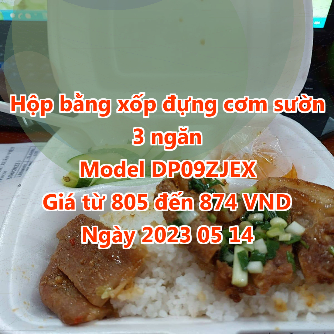 Hộp bằng xốp đựng cơm sườn 3 ngăn - Model DP09ZJEX