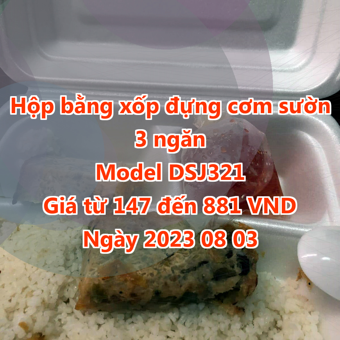 Hộp bằng xốp đựng cơm sườn 3 ngăn - Model DSJ321 - Giá 147 đồng