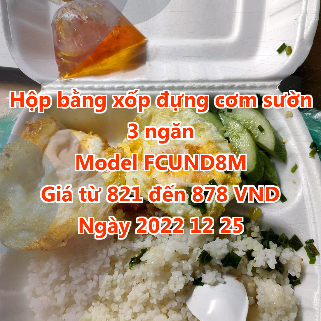 Hộp bằng xốp đựng cơm sườn 3 ngăn - Model FCUND8M