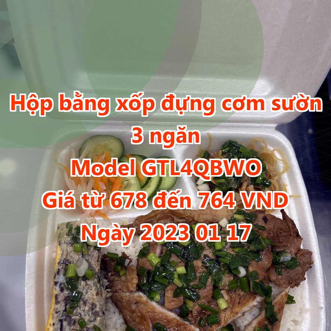 Hộp bằng xốp đựng cơm sườn 3 ngăn - Model GTL4QBWO