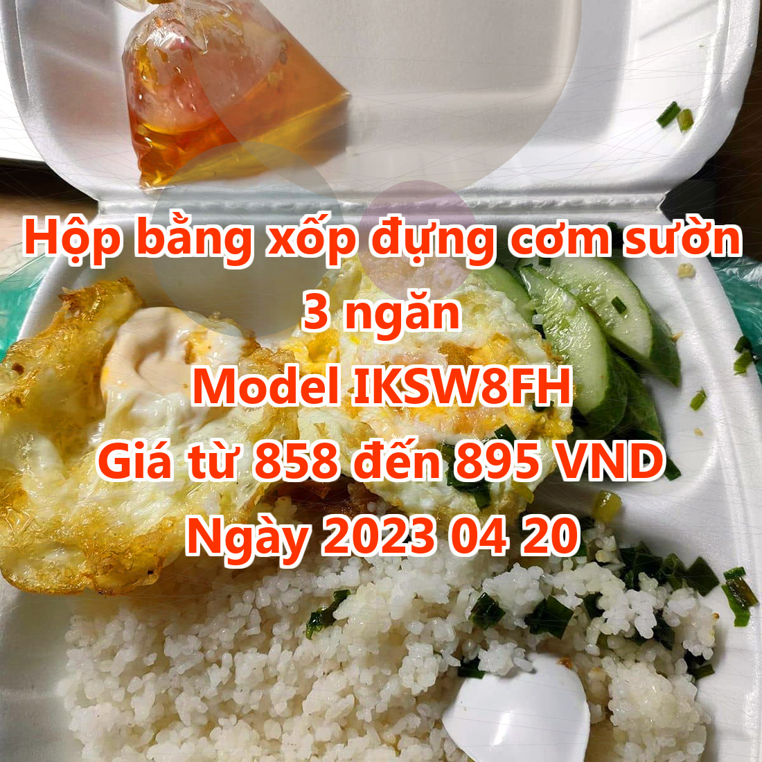 Hộp bằng xốp đựng cơm sườn 3 ngăn - Model IKSW8FH - Màu Slate Gray