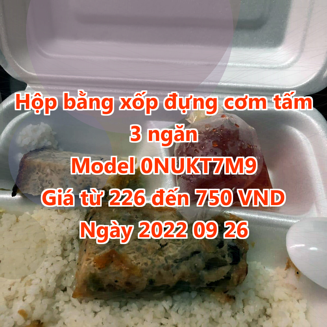 Hộp bằng xốp đựng cơm tấm 3 ngăn - Model 0NUKT7M9