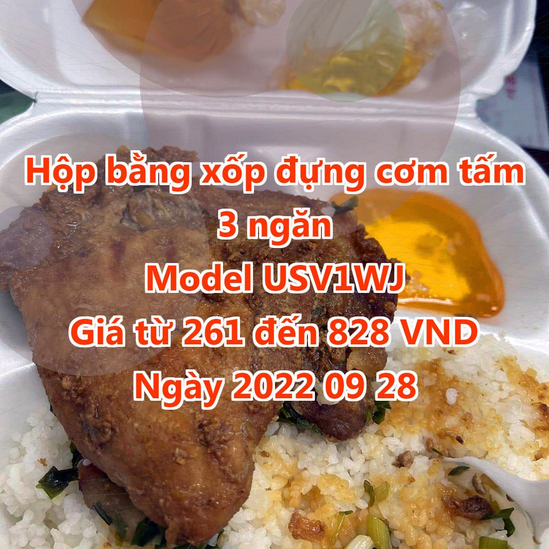 Hộp bằng xốp đựng cơm tấm 3 ngăn - Model USV1WJ - Giá 261 đồng