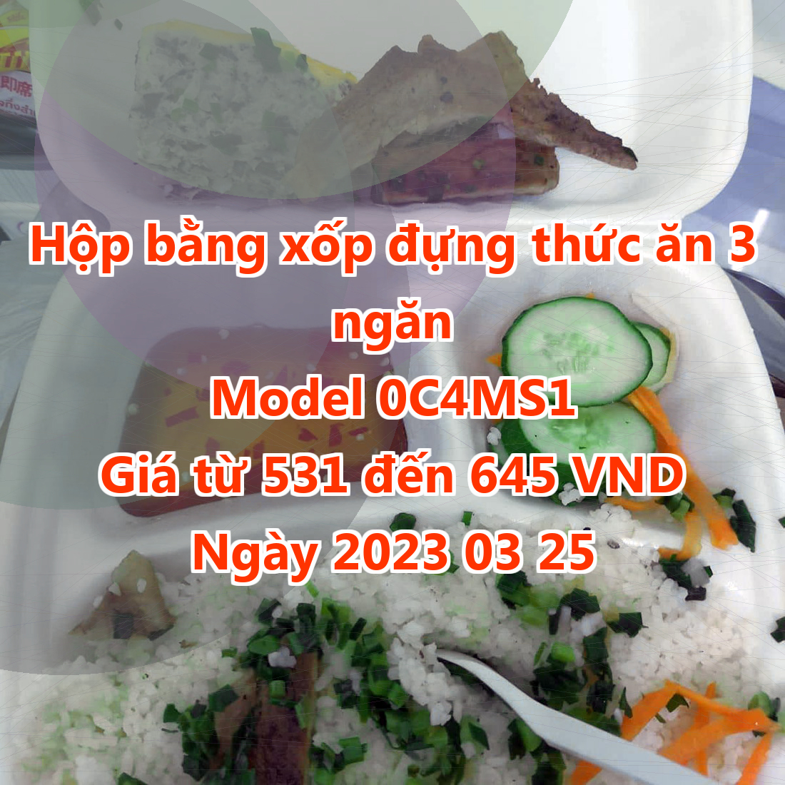 Hộp bằng xốp đựng thức ăn 3 ngăn - Model 0C4MS1