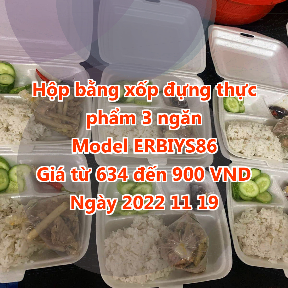 Hộp bằng xốp đựng thực phẩm 3 ngăn - Model ERBIYS86