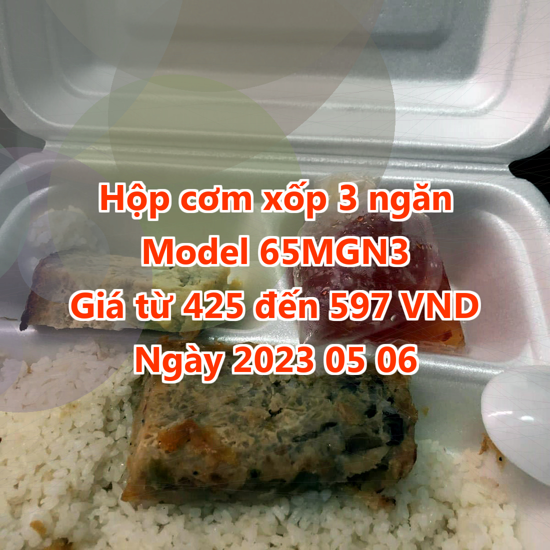 Hộp cơm xốp 3 ngăn - Model 65MGN3