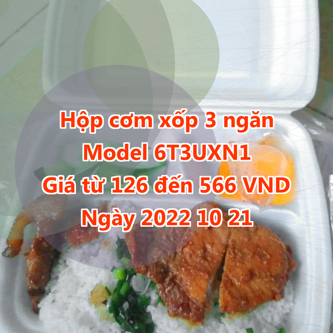 Hộp cơm xốp 3 ngăn - Model 6T3UXN1