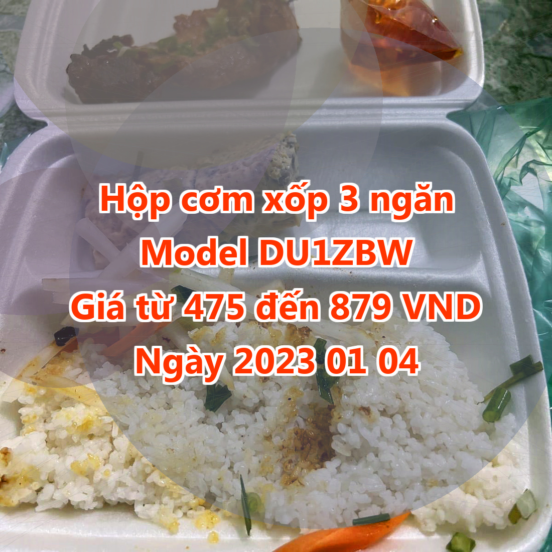 Hộp cơm xốp 3 ngăn - Model DU1ZBW - Màu Dark Salmon