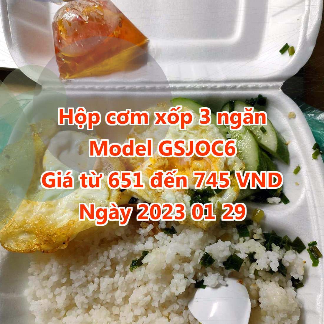 Hộp cơm xốp 3 ngăn - Model GSJOC6