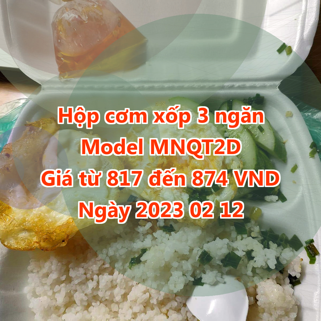 Hộp cơm xốp 3 ngăn - Model MNQT2D