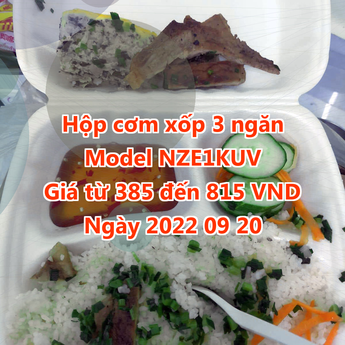 Hộp cơm xốp 3 ngăn - Model NZE1KUV