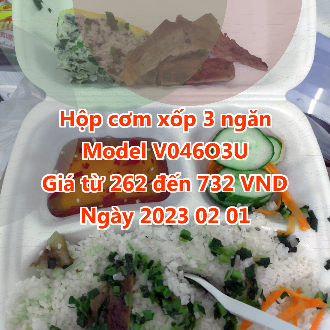 Hộp cơm xốp 3 ngăn - Model V046O3U - Màu Tan