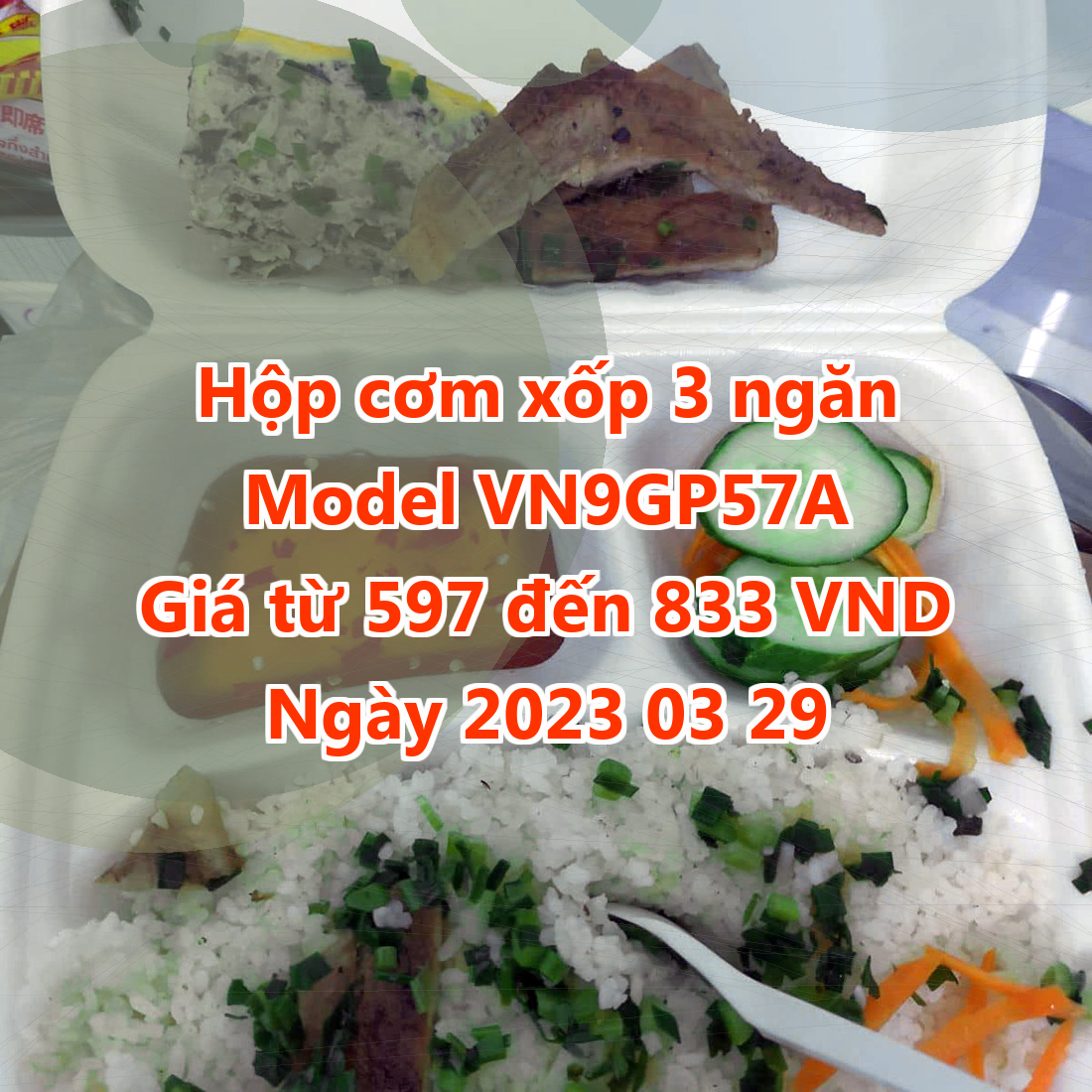 Hộp cơm xốp 3 ngăn - Model VN9GP57A