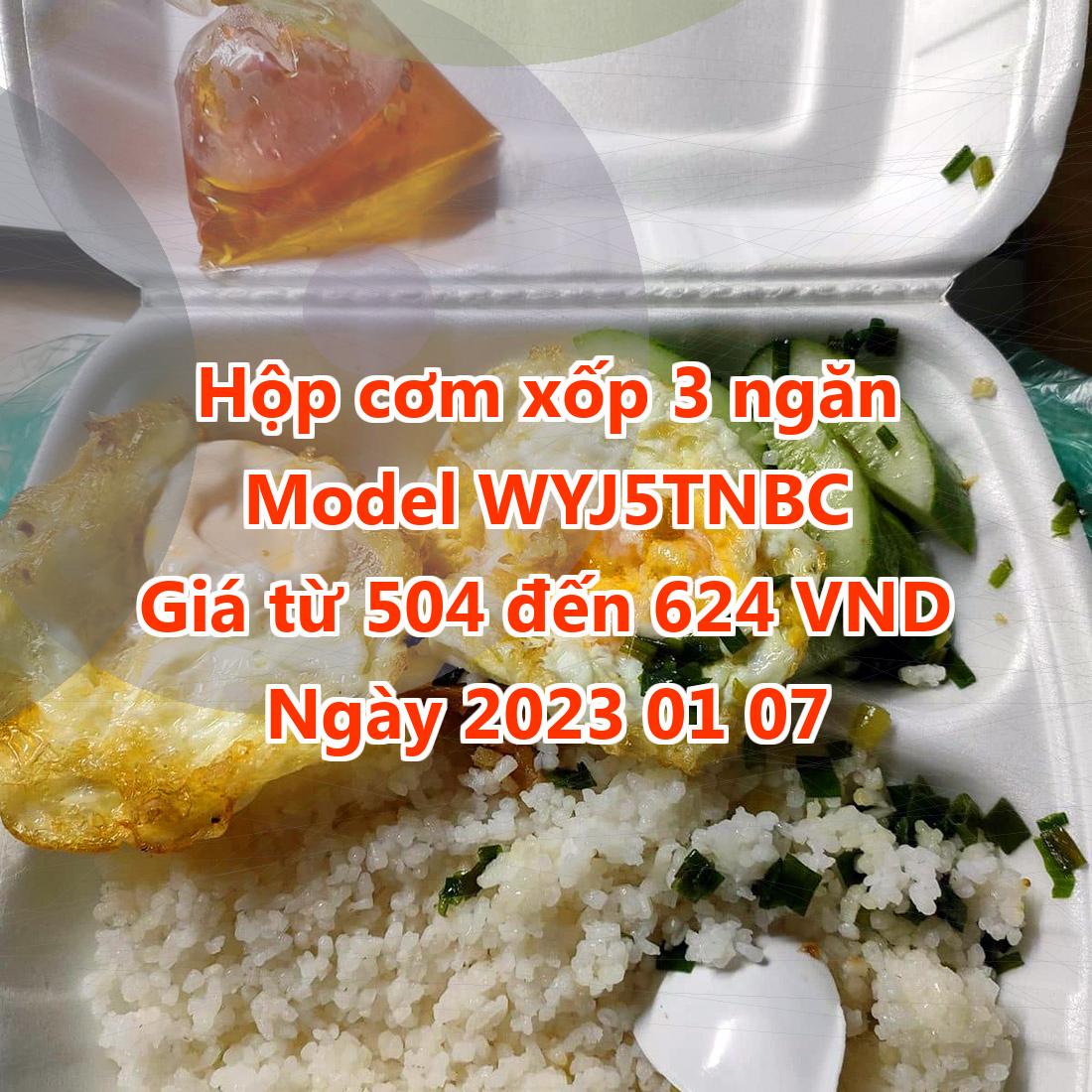 Hộp cơm xốp 3 ngăn - Model WYJ5TNBC