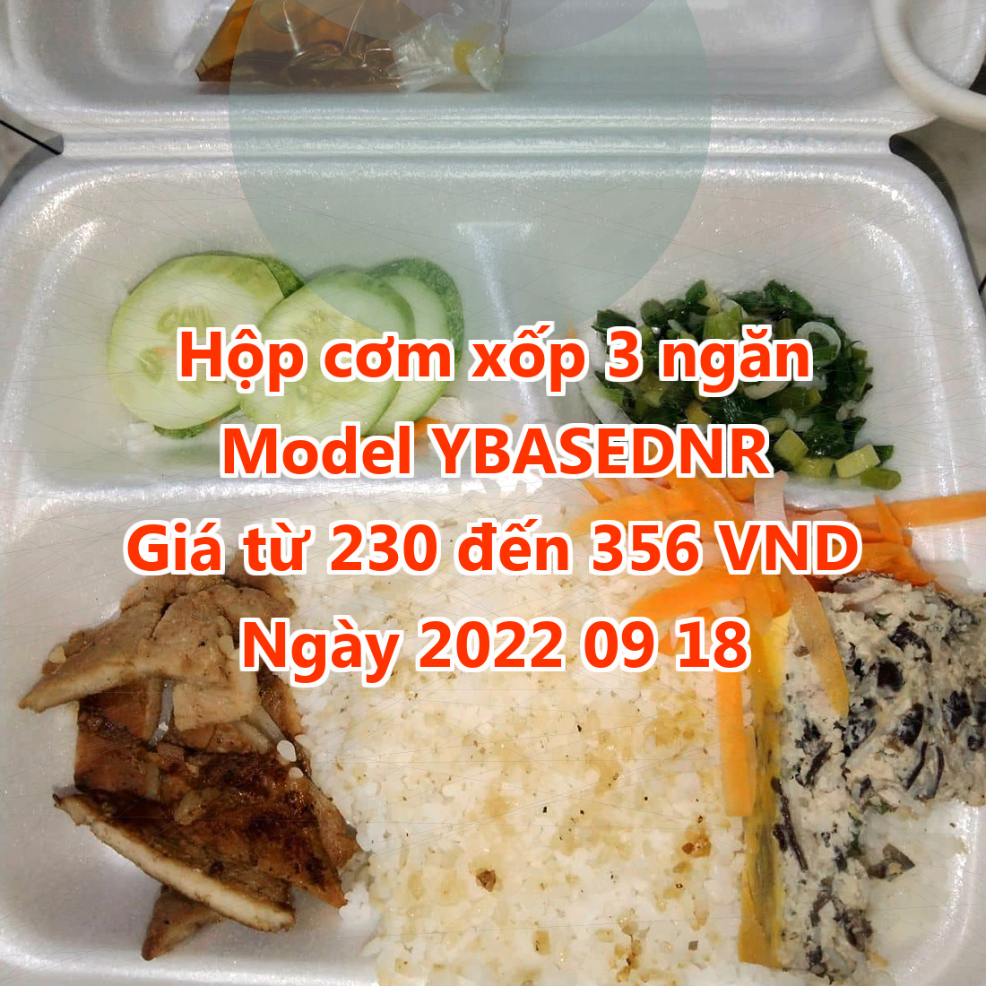 Hộp cơm xốp 3 ngăn - Model YBASEDNR